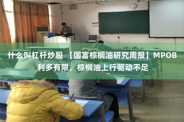 什么叫杠杆炒股 【国富棕榈油研究周报】MPOB 利多有限,棕榈油上行驱动不足