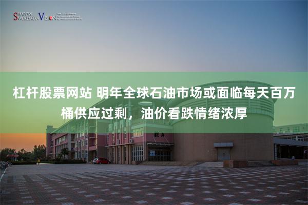 杠杆股票网站 明年全球石油市场或面临每天百万桶供应过剩，油价看跌情绪浓厚