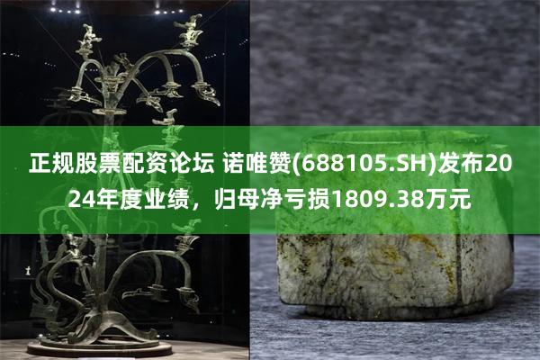 正规股票配资论坛 诺唯赞(688105.SH)发布2024年度业绩，归母净亏损1809.38万元