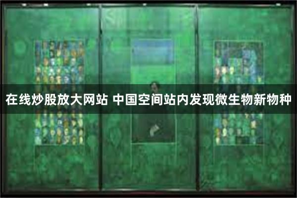 在线炒股放大网站 中国空间站内发现微生物新物种