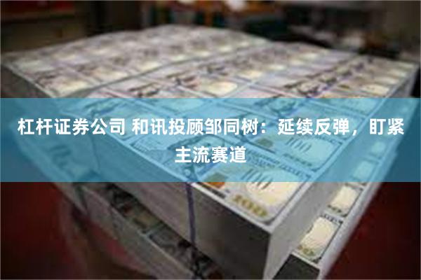 杠杆证券公司 和讯投顾邹同树：延续反弹，盯紧主流赛道