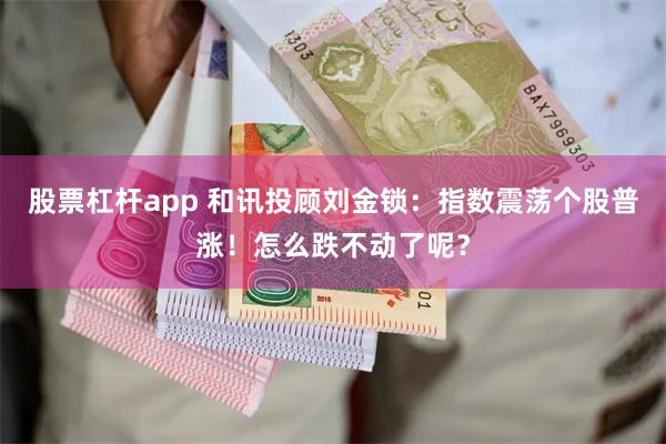 股票杠杆app 和讯投顾刘金锁：指数震荡个股普涨！怎么跌不动了呢？