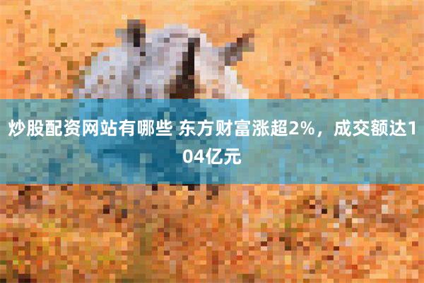 炒股配资网站有哪些 东方财富涨超2%，成交额达104亿元