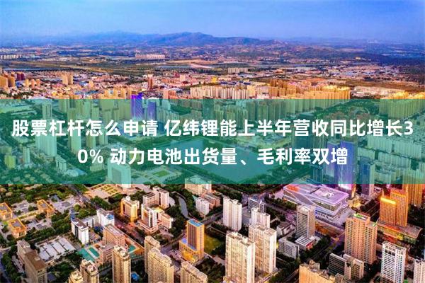股票杠杆怎么申请 亿纬锂能上半年营收同比增长30% 动力电池出货量、毛利率双增