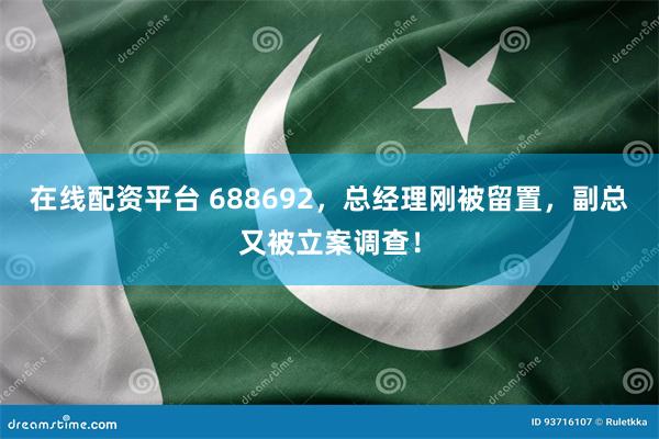 在线配资平台 688692，总经理刚被留置，副总又被立案调查！