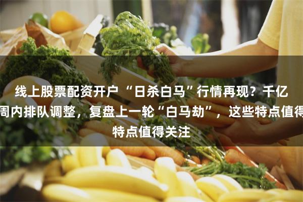 线上股票配资开户 “日杀白马”行情再现？千亿龙头周内排队调整，复盘上一轮“白马劫”，这些特点值得关注
